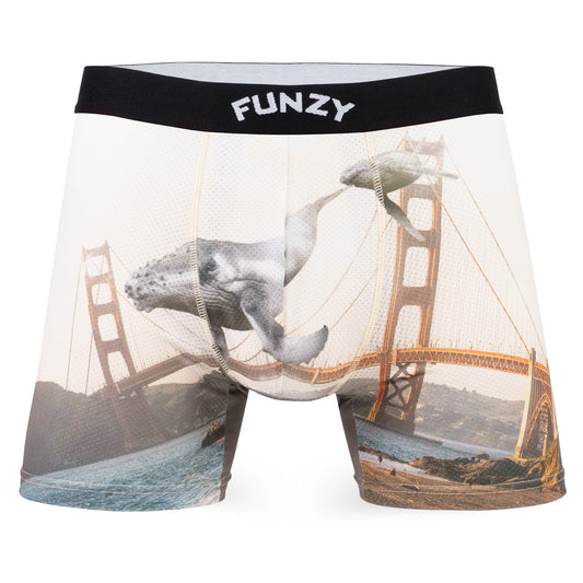 Boxer Funzy Golden Gate Whales